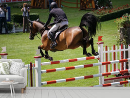 photo-wallpaper-the-show-jumper