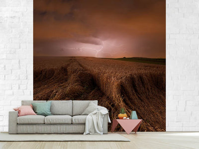 photo-wallpaper-morning-storm