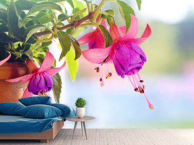 photo-wallpaper-the-fuchsias