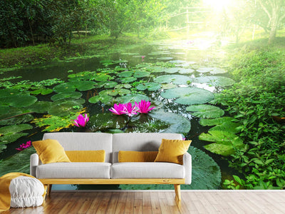 photo-wallpaper-garden-pond