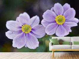 photo-wallpaper-2-flowers