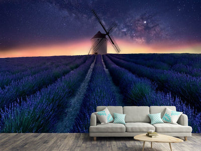 photo-wallpaper-lavender-night-x