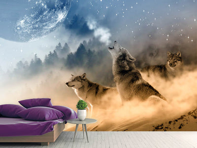 photo-wallpaper-the-world-of-wolves