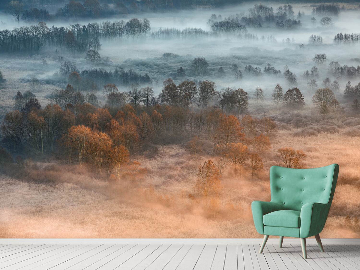 photo-wallpaper-autumnal-misty-dawn-x