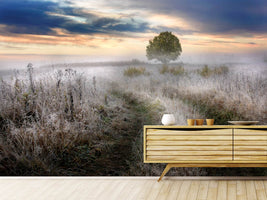 photo-wallpaper-frosty-morning-x