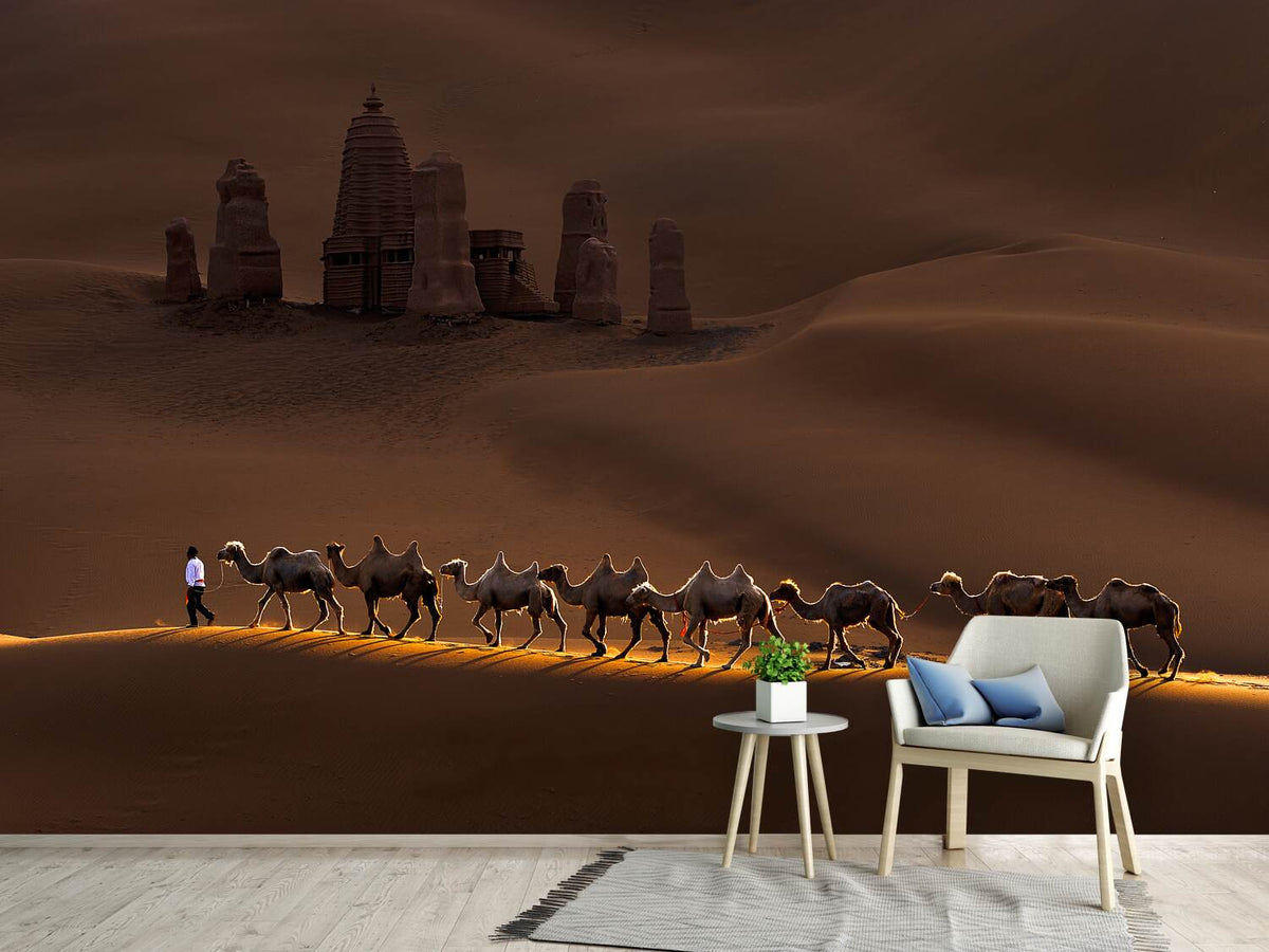 photo-wallpaper-castle-and-camels