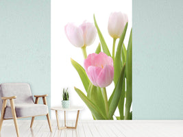 photo-wallpaper-the-tulips-trio