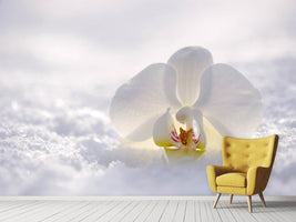 photo-wallpaper-the-orchids-bloom