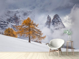 photo-wallpaper-between-seasons-x