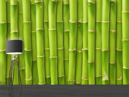 photo-wallpaper-bamboo-wall