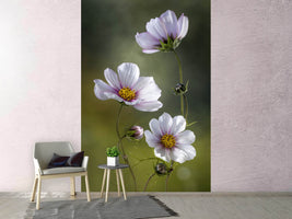 photo-wallpaper-cosmos-ii