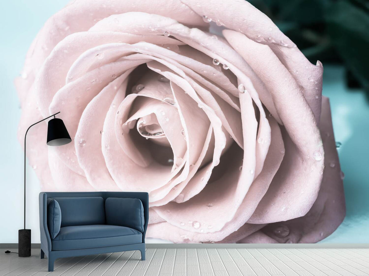 photo-wallpaper-pastel-rose