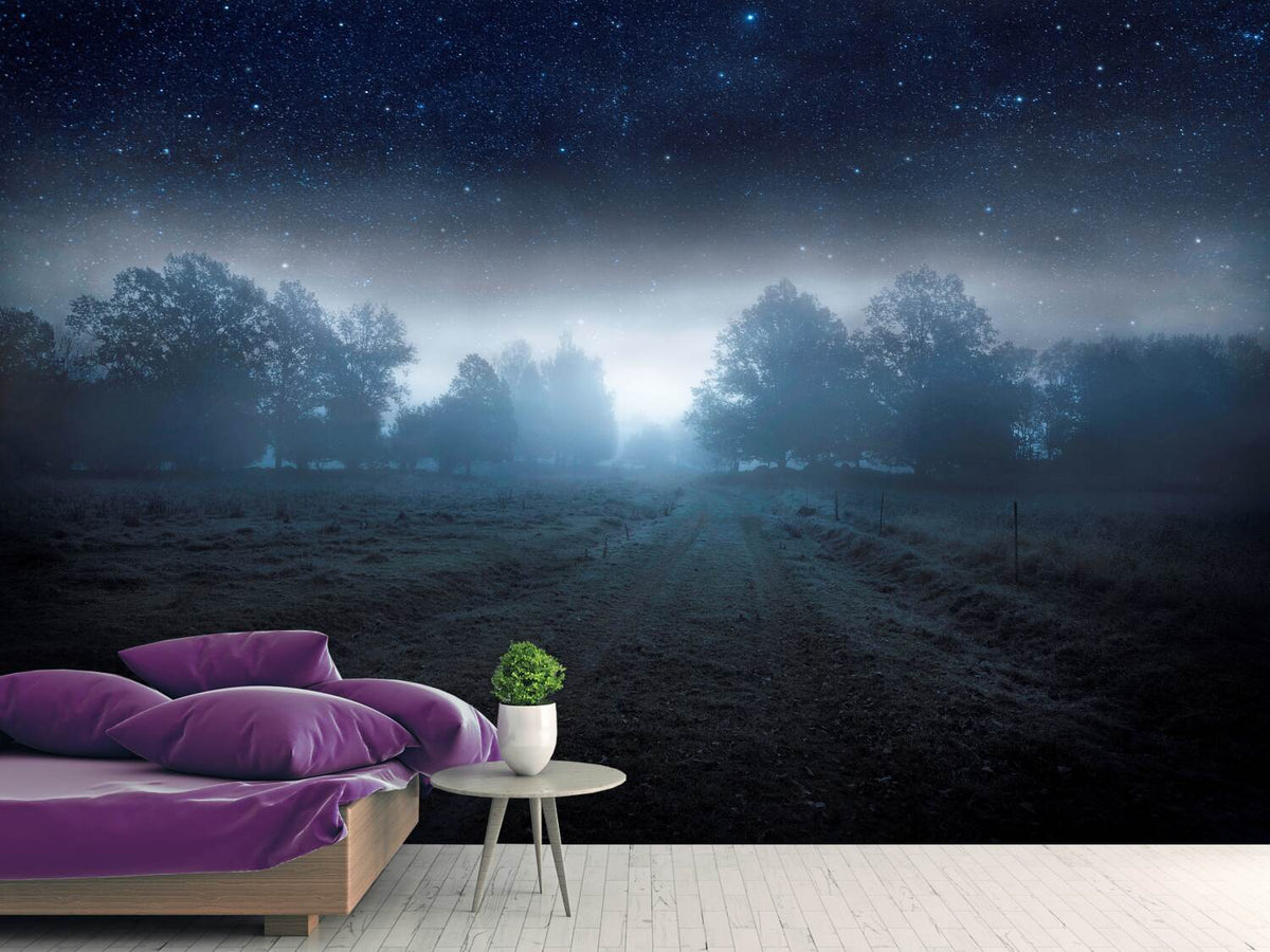 photo-wallpaper-visions-of-the-night-x