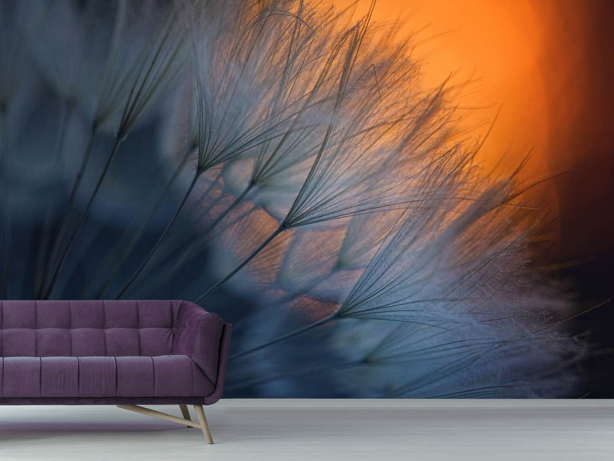 photo-wallpaper-feathers-p