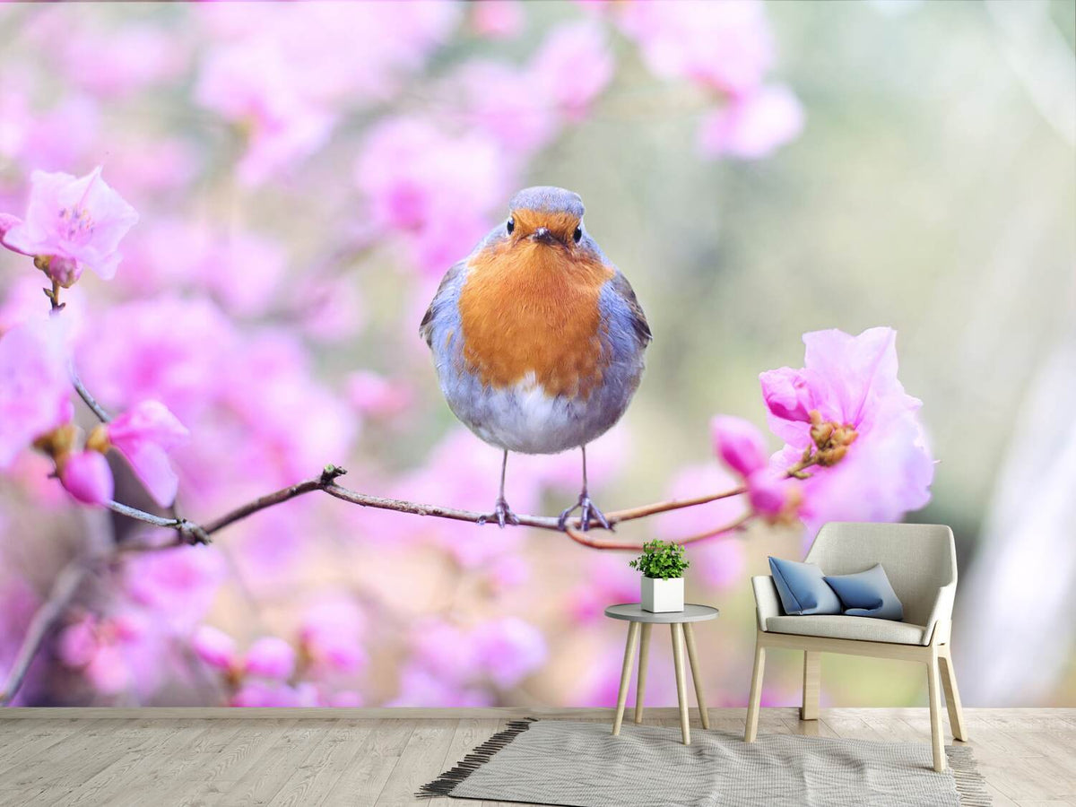 photo-wallpaper-spring-bird