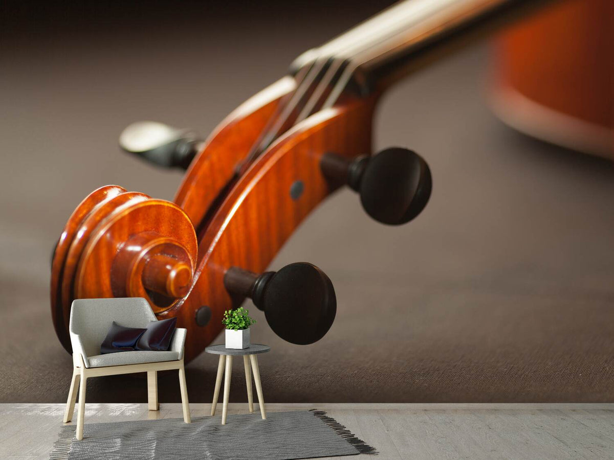 photo-wallpaper-close-up-violin