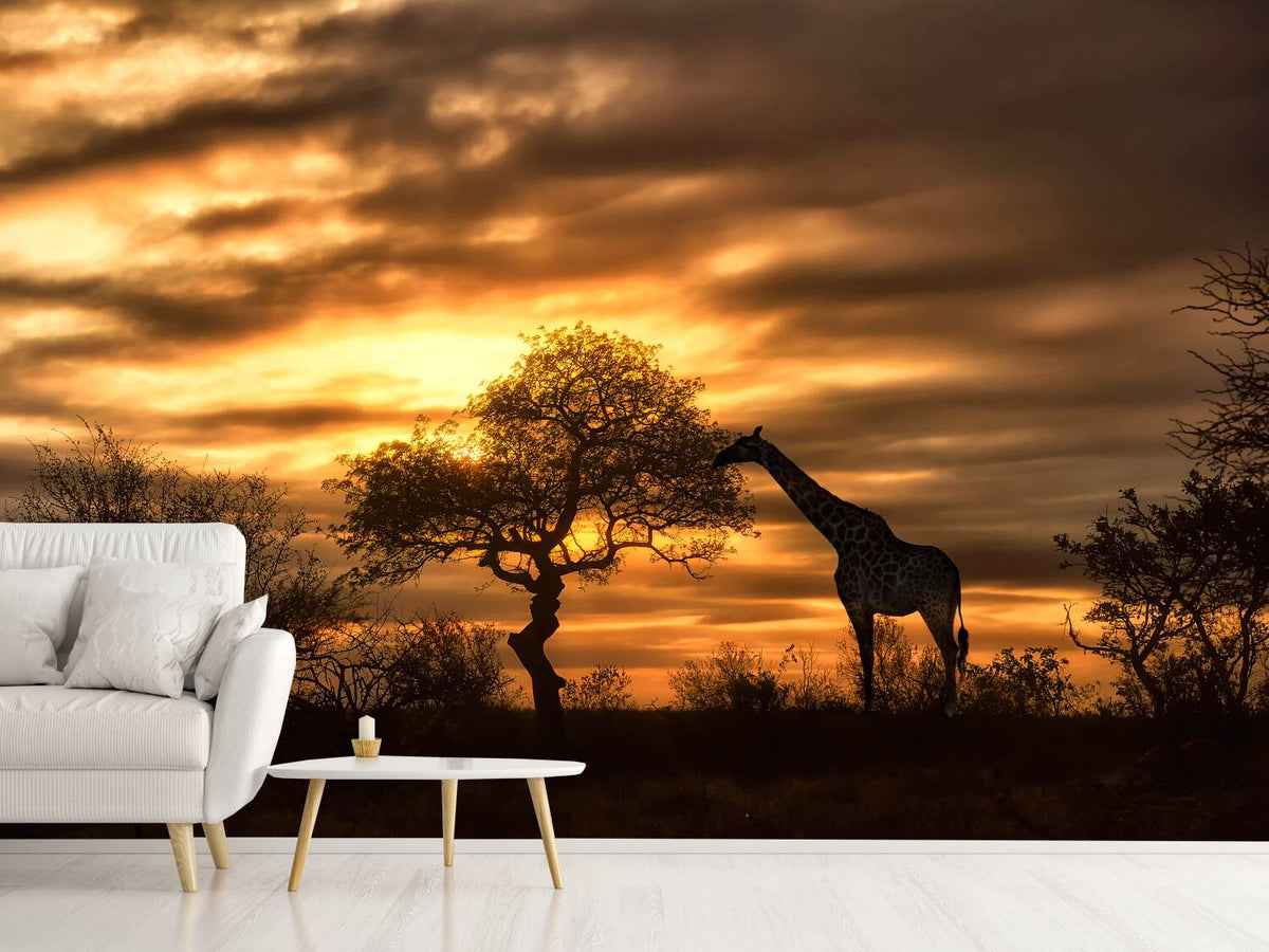 photo-wallpaper-african-dreams