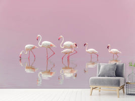 photo-wallpaper-flamingos-xyo