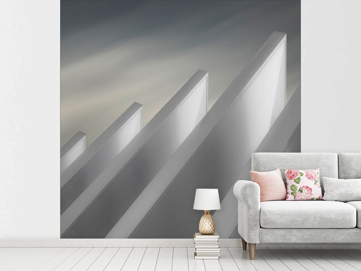 photo-wallpaper-winged-walls