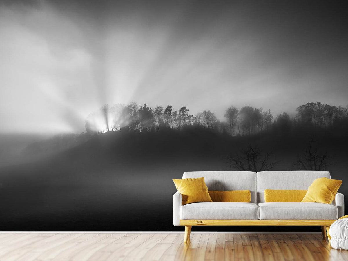 photo-wallpaper-the-sun-in-the-fog