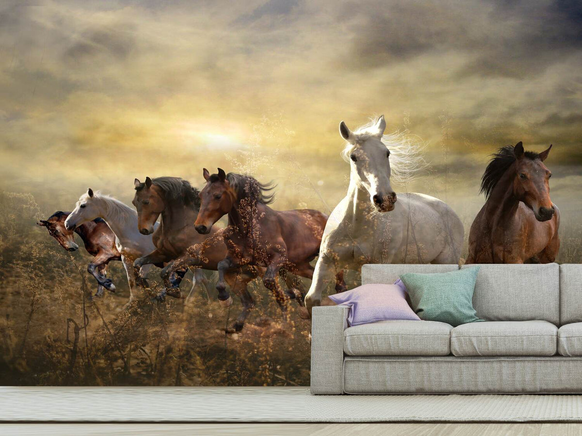 photo-wallpaper-wild-wild-horses