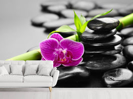 photo-wallpaper-feng-shui-orchid