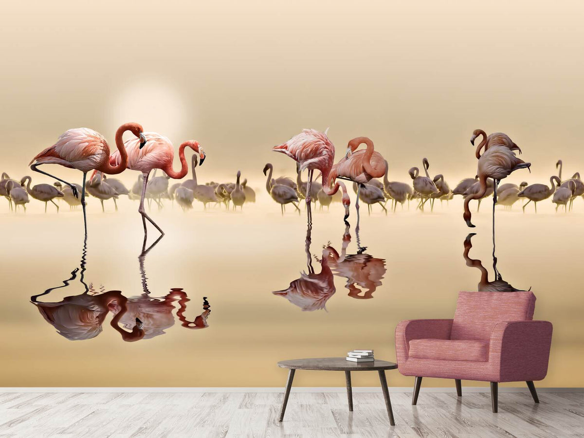 photo-wallpaper-flamingos-x