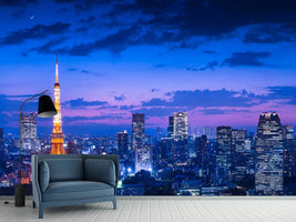 photo-wallpaper-tokyo-night-view