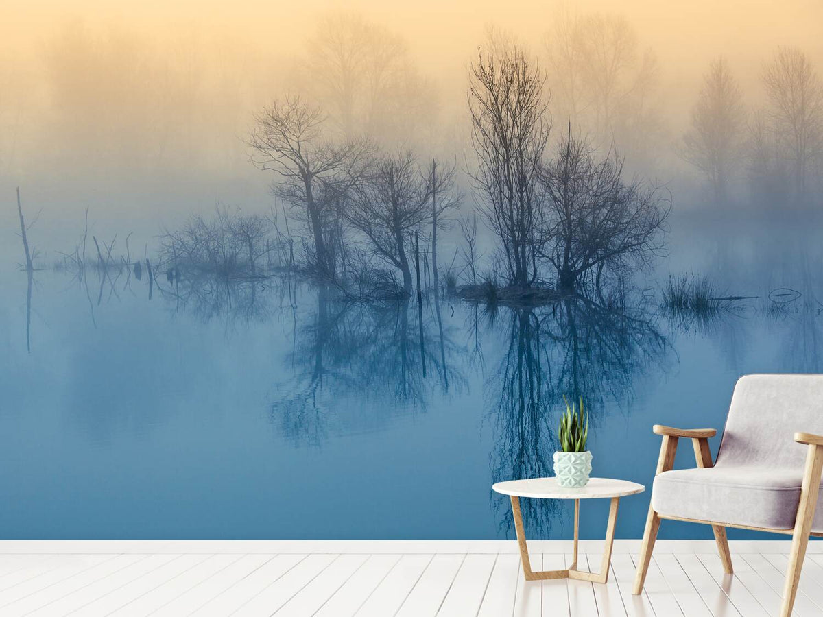 photo-wallpaper-morning-reflection-ii