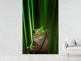 photo-wallpaper-green-frog