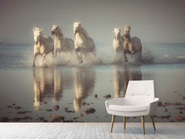 photo-wallpaper-camargue-horses-x