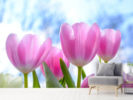 photo-wallpaper-tulips-in-nature