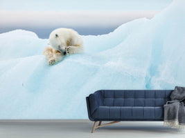 photo-wallpaper-polar-bear-grooming