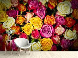 photo-wallpaper-many-colorful-rose-petals