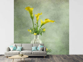 photo-wallpaper-calia-lillies