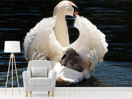 photo-wallpaper-mom-and-baby-swan