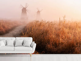 photo-wallpaper-morning-mist-x