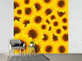 photo-wallpaper-a-bouquet-sunflower