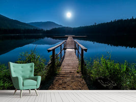 photo-wallpaper-one-night-at-full-moon