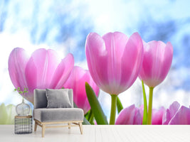 photo-wallpaper-tulips-in-nature