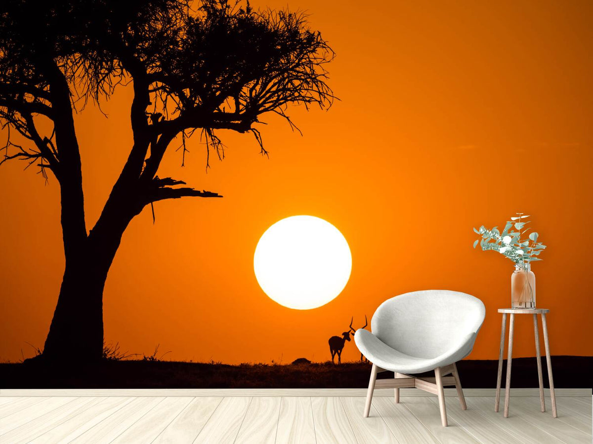 photo-wallpaper-african-sunset-x