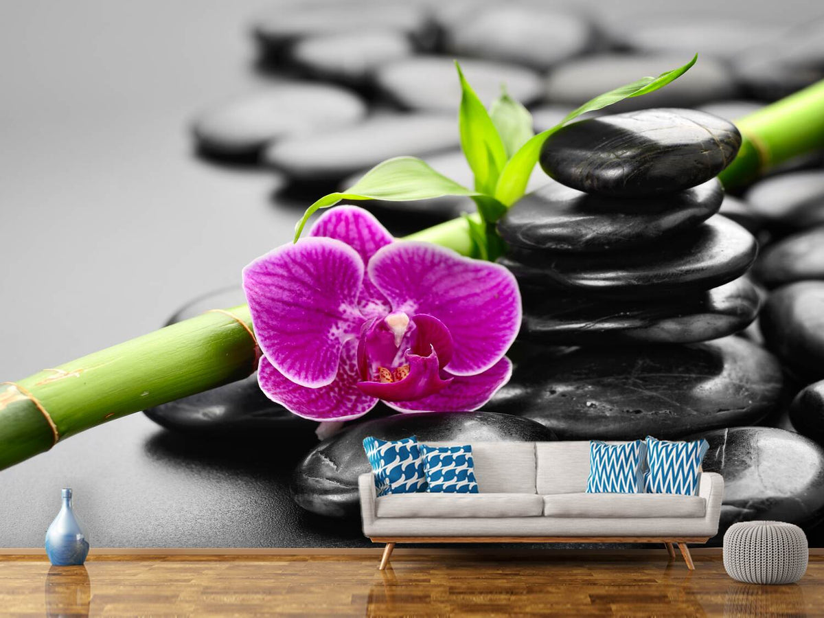 photo-wallpaper-feng-shui-orchid