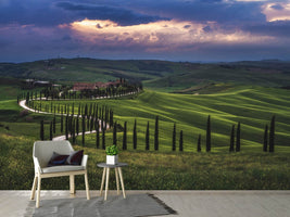 photo-wallpaper-tuscany-crete-senesi