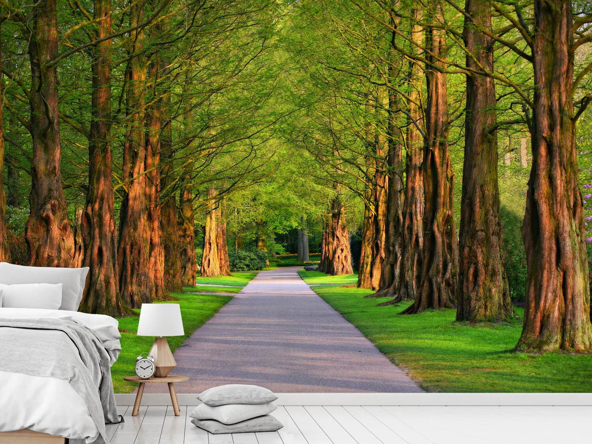 photo-wallpaper-beautiful-avenue-in-nature