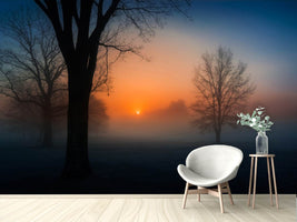 photo-wallpaper-foggy-sunrise-x