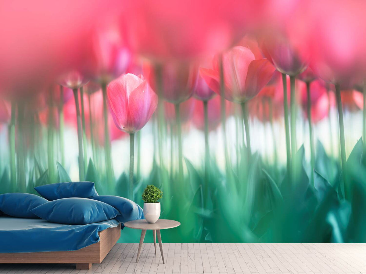 photo-wallpaper-lined-tulips-x