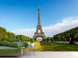 photo-wallpaper-the-eiffel-tower-in-paris