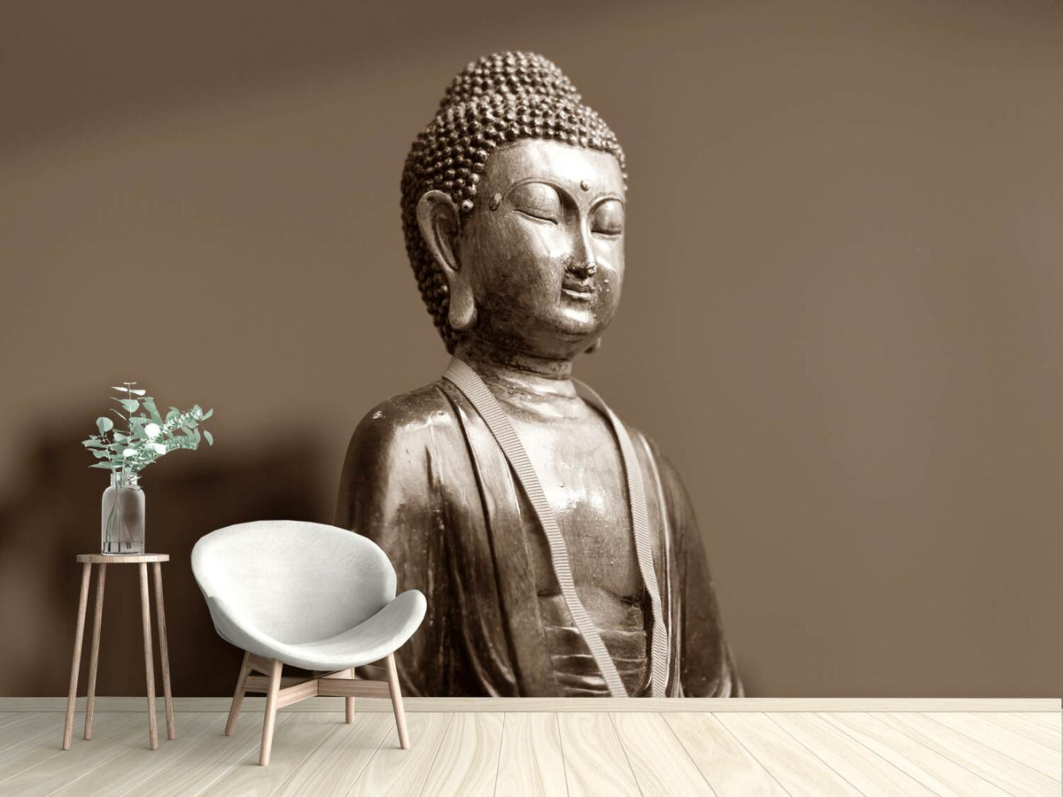 photo-wallpaper-buddha-in-meditation-xl