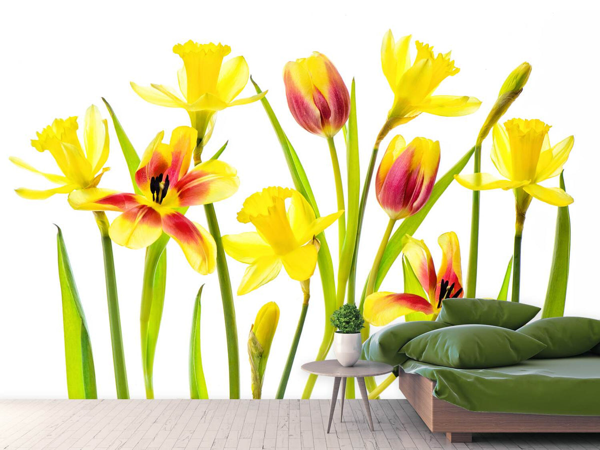 photo-wallpaper-vibrant-spring-x