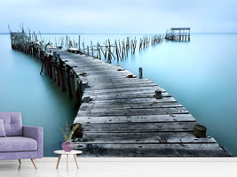 photo-wallpaper-carrasqueira-ii